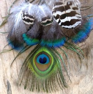 Meet your Posher, Dee